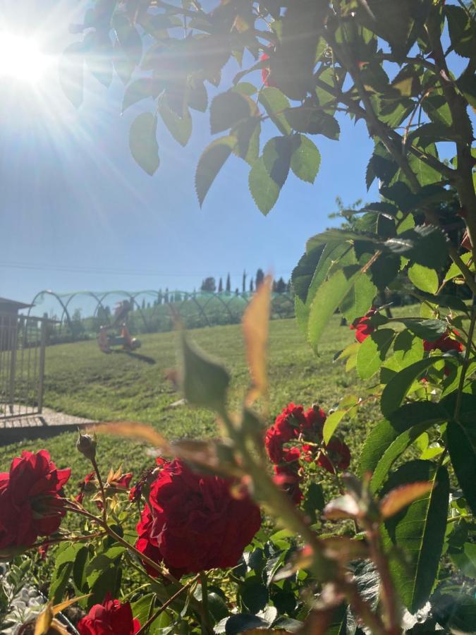 B&B” La Tezza” Torre de' Roveri Dış mekan fotoğraf